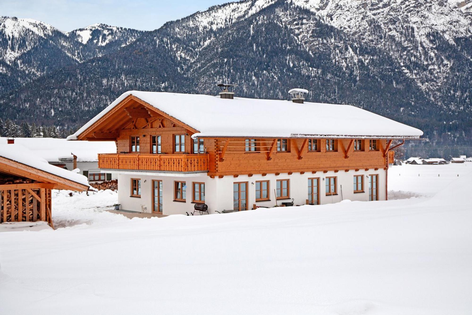 Alpenveilchen