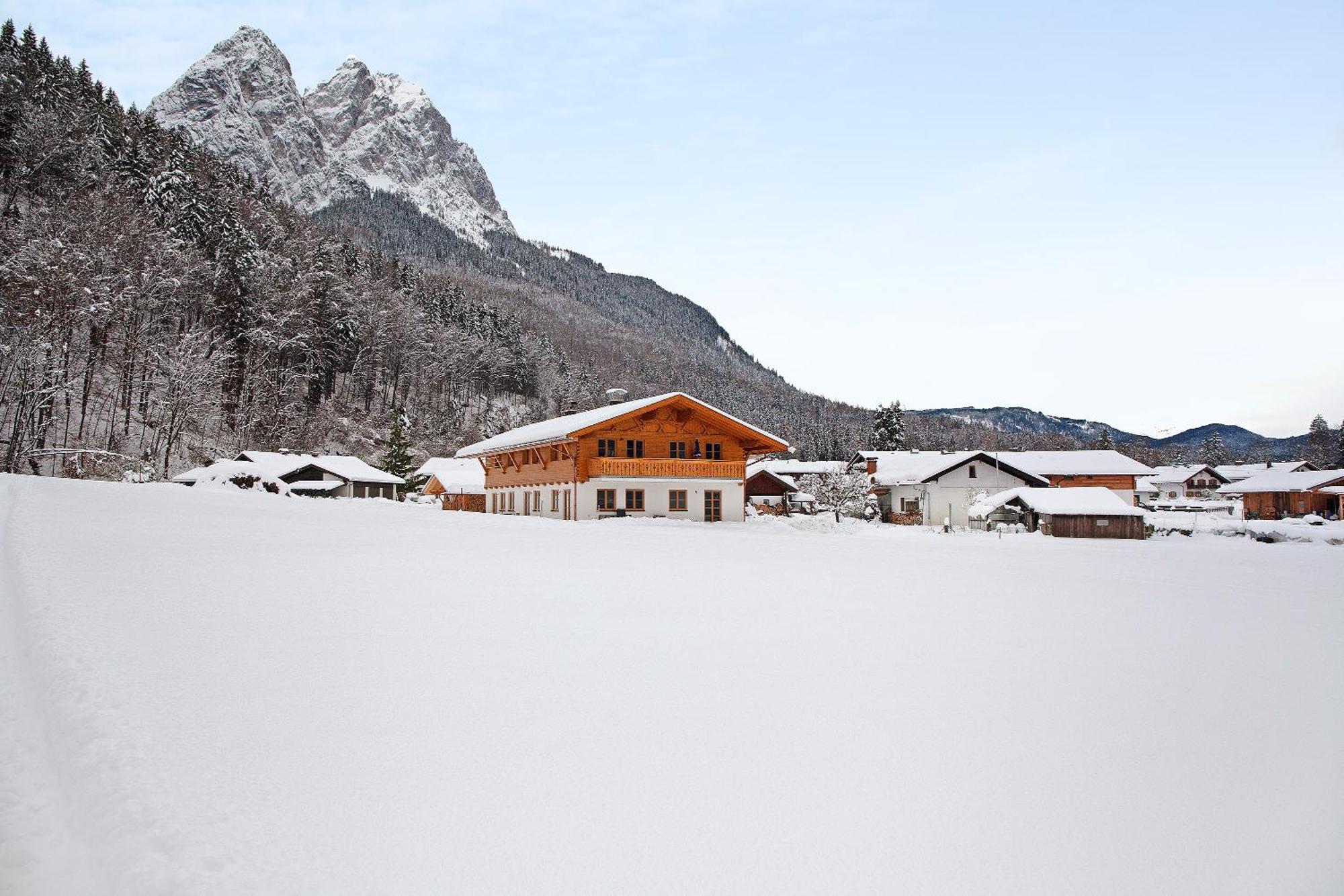 Alpenveilchen *